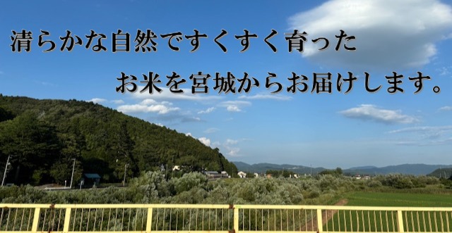 米 つや姫 令和7年産 精米 10kg 宮城県産 石巻市 こめ コメ お米 ツヤ姫 ご飯 ごはん 主食 おにぎり 美味しい 甘み 旨み