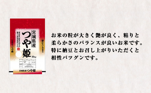 令和6年産 宮城県産 つや姫 精米 10kg 石巻産 つや姫 精米 つや姫 1等米 つや姫