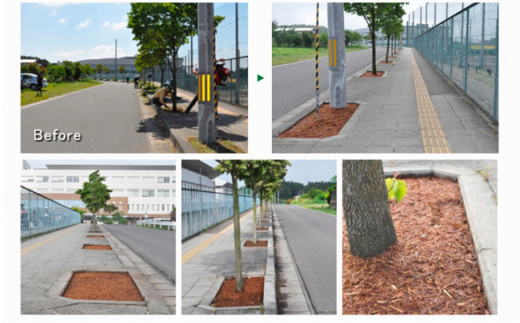 マルチング ウッドチップ スギマルチングファイバー 約100L （ 充填時 約50L/袋 × 2袋 ）国産 杉 杉皮 天然素材 マルチング材 マルチ材 ガーデニング グランドカバー材 鉢植え 花壇 土隠し 観葉植物 園芸 雑草防止 防草 乾燥防止 宮城県 石巻市