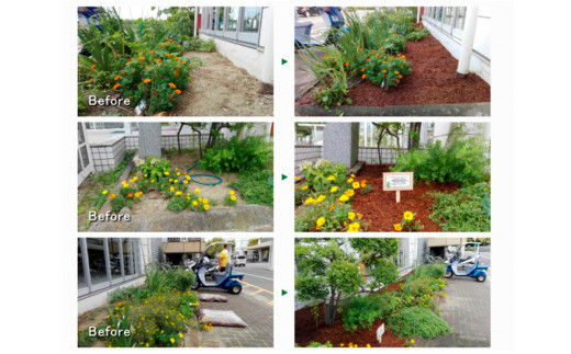 マルチング ウッドチップ スギマルチングファイバー 約100L （ 充填時 約50L/袋 × 2袋 ）国産 杉 杉皮 天然素材 マルチング材 マルチ材 ガーデニング グランドカバー材 鉢植え 花壇 土隠し 観葉植物 園芸 雑草防止 防草 乾燥防止 宮城県 石巻市