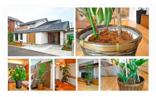 マルチング ウッドチップ スギマルチングファイバー 約100L （ 充填時 約50L/袋 × 2袋 ）国産 杉 杉皮 天然素材 マルチング材 マルチ材 ガーデニング グランドカバー材 鉢植え 花壇 土隠し 観葉植物 園芸 雑草防止 防草 乾燥防止 宮城県 石巻市