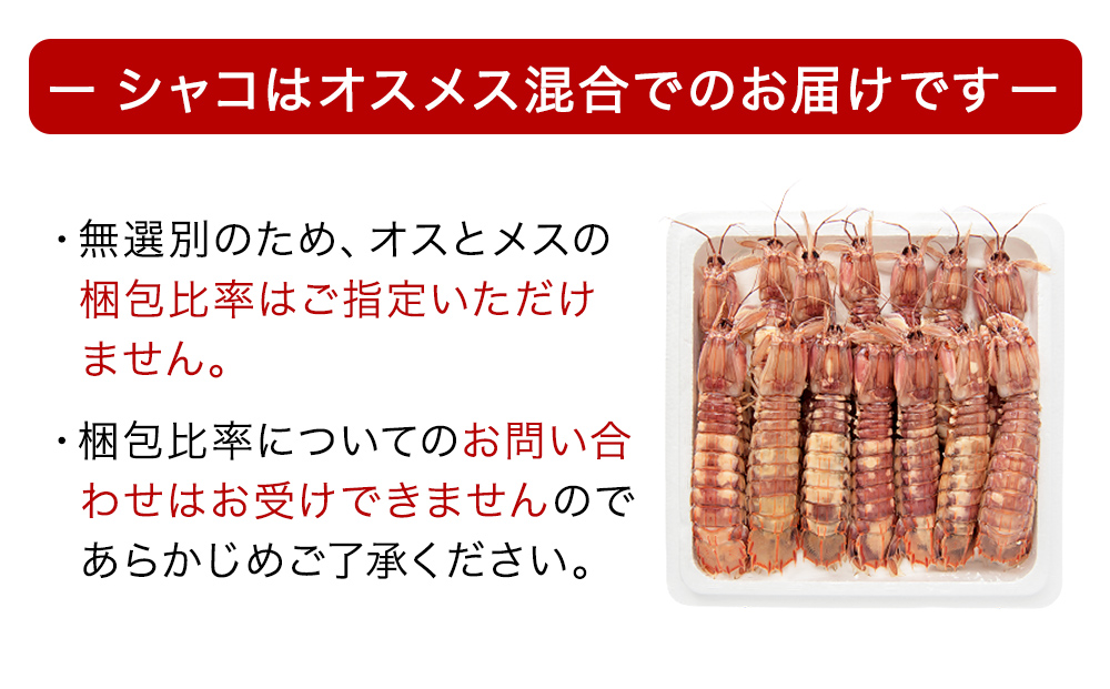 ïŒå
è¡äºçŽïŒ2026幎5æä»¥éé æ¬¡çºéïŒ å£ç¯éå® å®®åçç£ æµè¹ã§ ã·ã£ã³ãšã 500gïŒãªã¹ã¡ã¹æ··åïŒæ°ééå® å·èµ ç£å°çŽé æ®»ä»ã åæã¡ ã¬ãµãšã ã·ã£ãã ã·ã£ã¯ ããããã³ å®®åç ç³å·»åž ããã èå ãã³ãããŒãºã³ æ°é®® èŠè ãã€ã«ã·ã£ã³