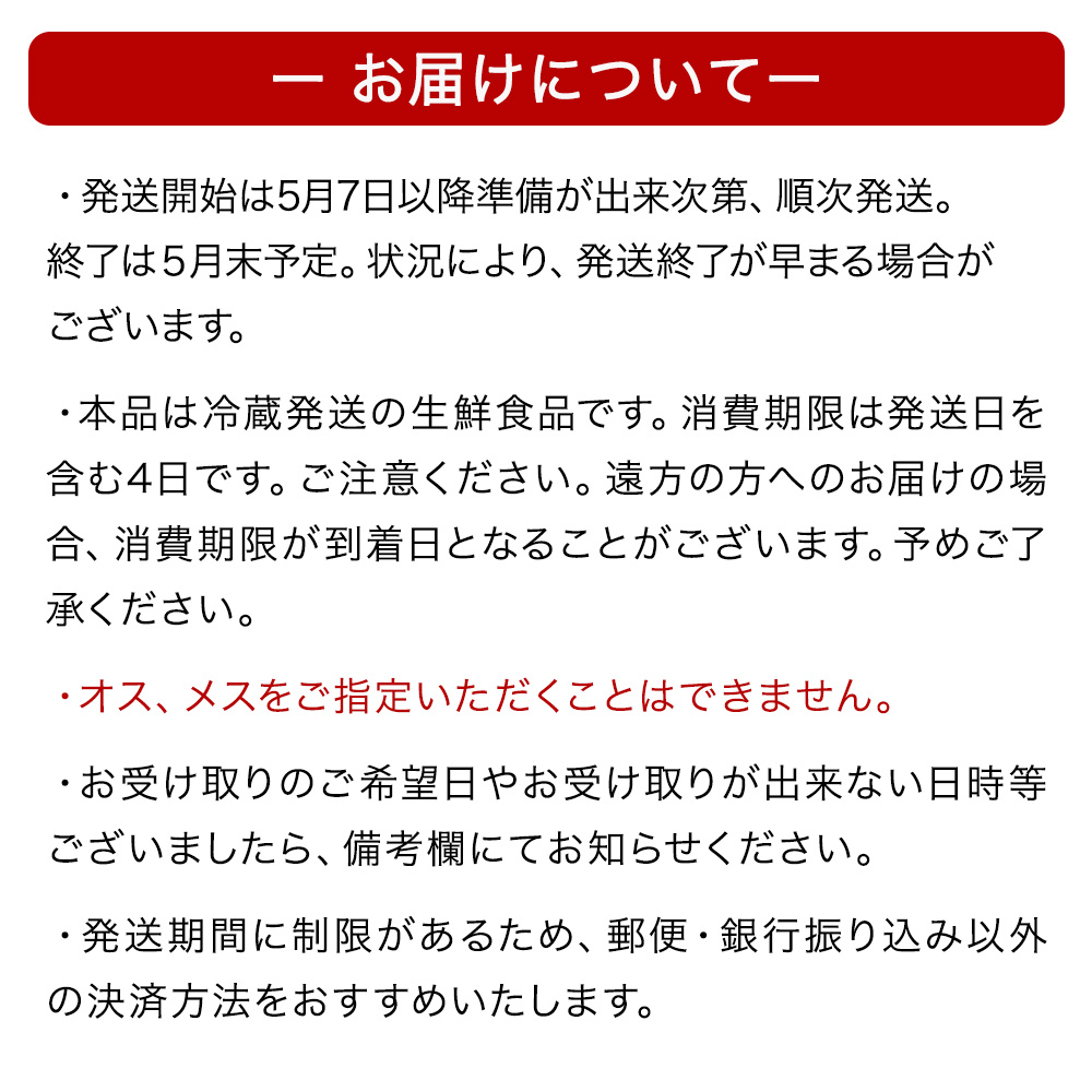 ＜先行予約：2026年5月以降順次発送＞ 季節限定 宮城県産 浜茹で シャコエビ 500g（オスメス混合）数量限定 冷蔵 産地直送 殻付き 子持ち ガサエビ シャッパ シャク しゃこえび 宮城県 石巻市 しゃこ 肉厚 ノンフローズン 新鮮 蝦蛄 ボイルシャコ