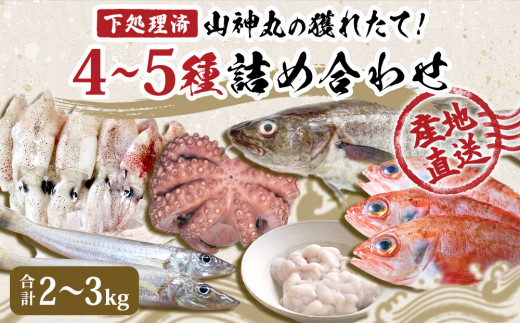 鮮魚 詰め合わせ 2～3kg（4～5種）下処理済み 漁師直送! 宮城県産 鮮魚 内臓処理済 お楽しみ 鮮魚ボックス 詰め合わせ 魚 食べ比べ お魚 とれたて 美味しい 新鮮 海鮮 魚介 刺身 焼き魚 煮付け フライ レシピ付 簡単調理 宮城県 石巻市 山神丸 送料無料