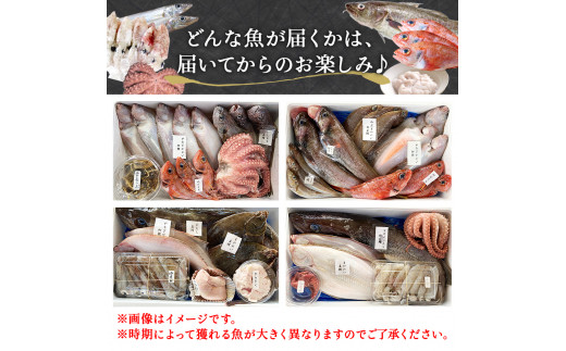 鮮魚 詰め合わせ 2～3kg（4～5種）下処理済み 漁師直送! 宮城県産 鮮魚 内臓処理済 お楽しみ 鮮魚ボックス 詰め合わせ 魚 食べ比べ お魚 とれたて 美味しい 新鮮 海鮮 魚介 刺身 焼き魚 煮付け フライ レシピ付 簡単調理 宮城県 石巻市 山神丸 送料無料