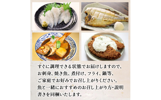鮮魚 詰め合わせ 2～3kg（4～5種）下処理済み 漁師直送! 宮城県産 鮮魚 内臓処理済 お楽しみ 鮮魚ボックス 詰め合わせ 魚 食べ比べ お魚 とれたて 美味しい 新鮮 海鮮 魚介 刺身 焼き魚 煮付け フライ レシピ付 簡単調理 宮城県 石巻市 山神丸 送料無料