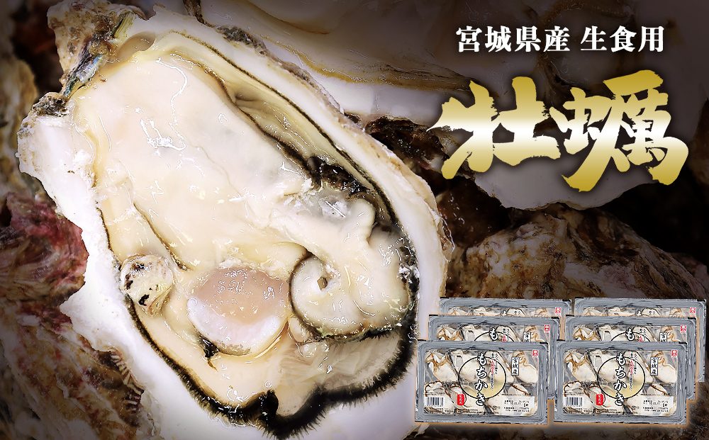 牡蠣 宮城県産 生食用 牡蠣(もちかき)セット