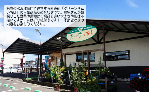 水沢種苗店おススメ新鮮野菜・加工品セット