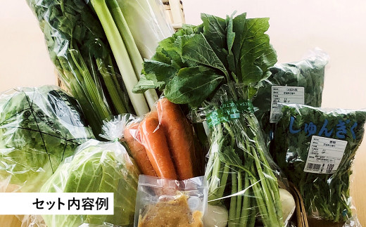 水沢種苗店おススメ新鮮野菜・加工品セット