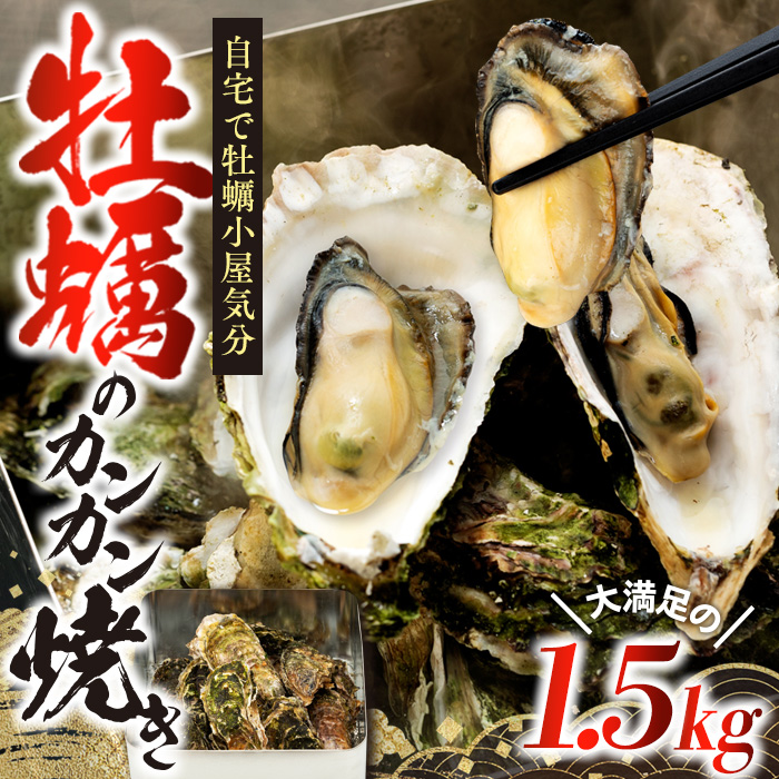 宮城県産 牡蠣のカンカン焼き 1.5kg(13～15個) 殻付き牡蠣