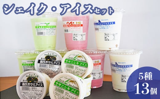 シェイク アイス 5種13個セット 宮城県 石巻市 風月堂 ずんだスイーツ ご当地スイーツ
