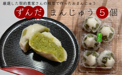 宮城県名産 ずんだ 菓子 食べ比べ 5種セット ずんだ餅 ずんだまんじゅう ずんだあん ずんだ餡 お菓子 宮城県 ずんだ 枝豆 えだまめ 和菓子 洋菓子 わらび餅 ブッセ 餅 おもち お餅 饅頭 茶巾 手作り 仙台名物 スイーツ ご当地 詰め合わせ ギフト 宮城県 石巻 石巻市