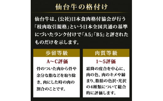 牛農産品 ステーキ 仙台牛 サーロインステーキ・すき焼き用セット 合計 1kg 冷蔵 サーロイン 肩ロース すき焼き 和牛 A5 B5 国産牛 焼農産品 BBQ アウトドア キャンプ 食べ比べ 詰め合わせ セット 赤身 ギフト 贈り物 お祝い 父の日 宮城県 石巻市