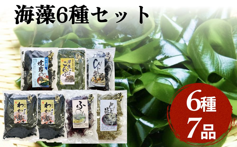 十三浜 浜だより 海藻 6種7品 塩蔵わかめ 早煮こんぶ とろろ昆布 ひじき 焼岩のり ふのり わかめ こんぶ 海苔