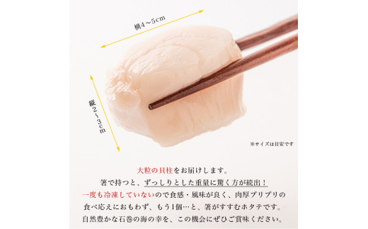 宮城県産 生食用 生ホタテ貝柱（500g/約15個〜18個入り）冷蔵 帆立 ほたて 貝 魚介 海鮮 刺身 生食 生ほたて 生帆立 宮城県 石巻市 宮城 石巻