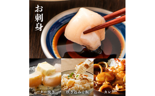 宮城県産 生食用 生ホタテ貝柱（500g/約15個〜18個入り）冷蔵 帆立 ほたて 貝 魚介 海鮮 刺身 生食 生ほたて 生帆立 宮城県 石巻市 宮城 石巻