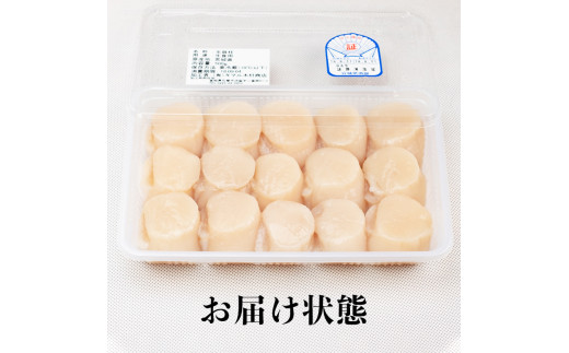 宮城県産 生食用 生ホタテ貝柱（500g/約15個〜18個入り）冷蔵 帆立 ほたて 貝 魚介 海鮮 刺身 生食 生ほたて 生帆立 宮城県 石巻市 宮城 石巻
