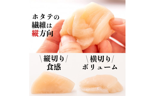 宮城県産 生食用 生ホタテ貝柱（500g/約15個〜18個入り）冷蔵 帆立 ほたて 貝 魚介 海鮮 刺身 生食 生ほたて 生帆立 宮城県 石巻市 宮城 石巻