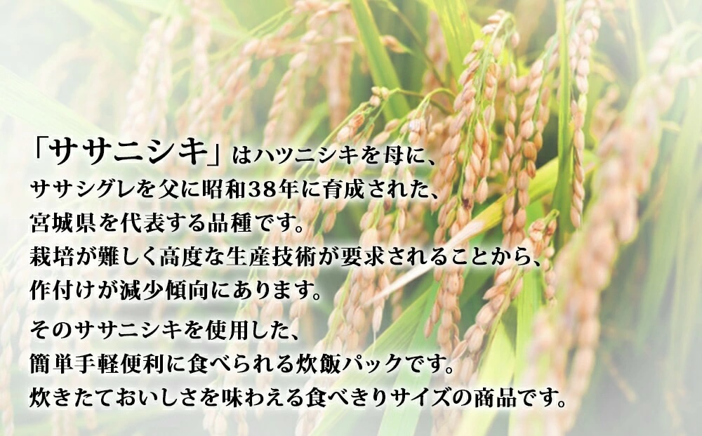 ご飯パック 宮城県産 ササニシキ 180g 24個 パックライス パックごはん ごはん パック レトルト ライス コメ ご飯 常温 米 白米 真空パック 24食 ささにしき 炊飯パック 簡単 手軽 電子レンジ 簡単調理 ゴハン こめ お米 保存食 非常食 防災 国産 宮城県 石巻市 送料無料