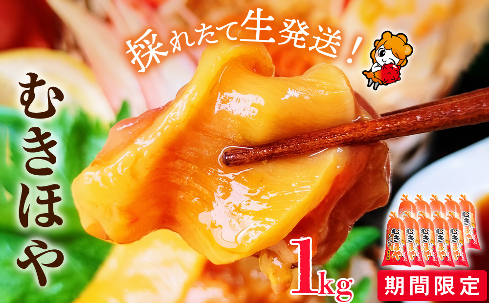 å®®åçç£ ããã»ã 1kg ïŒ100gÃ10ïŒã»ã æµ·é ãåºèº« å°åã ç³å·»åž