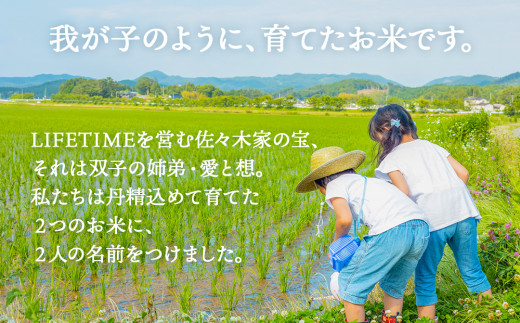 ササニシキ 白米 4.5kg 米 お米 化学肥料不使用 コメ こめ ささにしき 精米 ご飯 ごはん 主食 ライス 4.5キロ 産地直送 国産 宮城県 石巻市