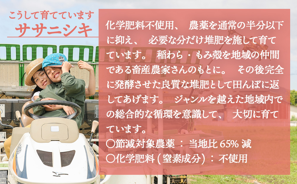 ササニシキ 玄米 5kg 米 化学肥料不使用 お米 コメ こめ ささにしき ご飯 ごはん 主食 ライス 5キロ 産地直送 国産 宮城県 石巻市
