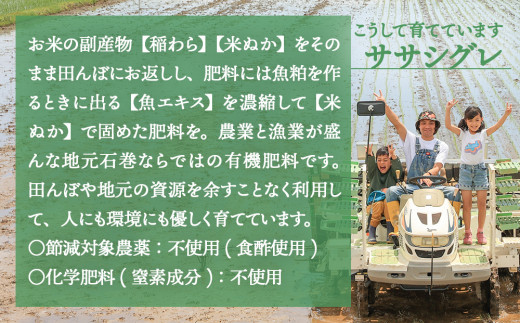 【ササシグレ】米 ササシグレ 玄米 5kg 農薬不使用 化学肥料不使用 ささしぐれ お米 コメ こめ おこめ ご飯 ごはん 希少 優しい 甘み