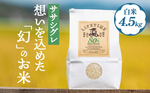 【ササシグレ】米 ササシグレ 白米 4.5kg 農薬不使用 化学肥料不使用 ささしぐれ お米 コメ こめ おこめ ご飯 ごはん 希少 優しい 甘み