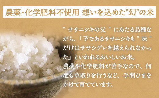 米 ササシグレ 白米 9kg 農薬不使用 化学肥料不使用 ささしぐれ お米 コメ こめ おこめ ご飯 ごはん 希少 優しい 甘み