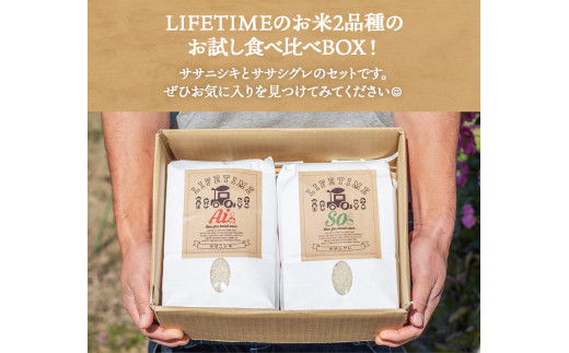 ç±³ é£ã¹æ¯ã¹SET ãµãµã·ã°ã¬ çç±³ 5kg ãµãµãã·ã çç±³ 5kg ããããã ããã«ãã ãç±³ ã³ã¡ ãã ããã ã飯 ãã¯ã åžå° åªãã çã¿