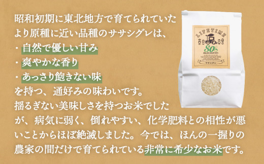 ササシグレ 玄米 10kg ササニシキ 玄米 10kg 食べ比べ ささしぐれ ささにしき お米 コメ こめ おこめ ご飯 ごはん 希少 優しい 甘み