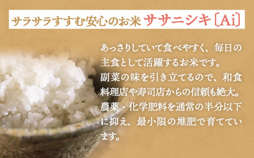 ササシグレ 白米 9kg ササニシキ 白米 9kg 食べ比べ ささしぐれ ささにしき お米 コメ こめ おこめ ご飯 ごはん 希少 優しい 甘み