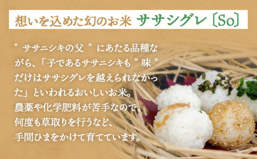ササシグレ 白米 9kg ササニシキ 白米 9kg 食べ比べ ささしぐれ ささにしき お米 コメ こめ おこめ ご飯 ごはん 希少 優しい 甘み