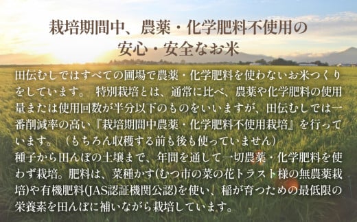 令和6年産 特別栽培米 ササニシキ 白米 3kg