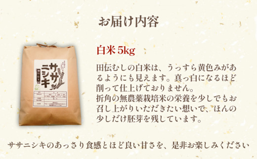 令和6年産 特別栽培米 ササニシキ 白米 5kg