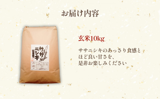 令和6年産 特別栽培米 ササニシキ 玄米 10kg