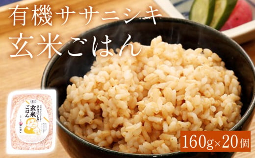 令和6年産 有機ササニシキ玄米ごはん 160g × 20個