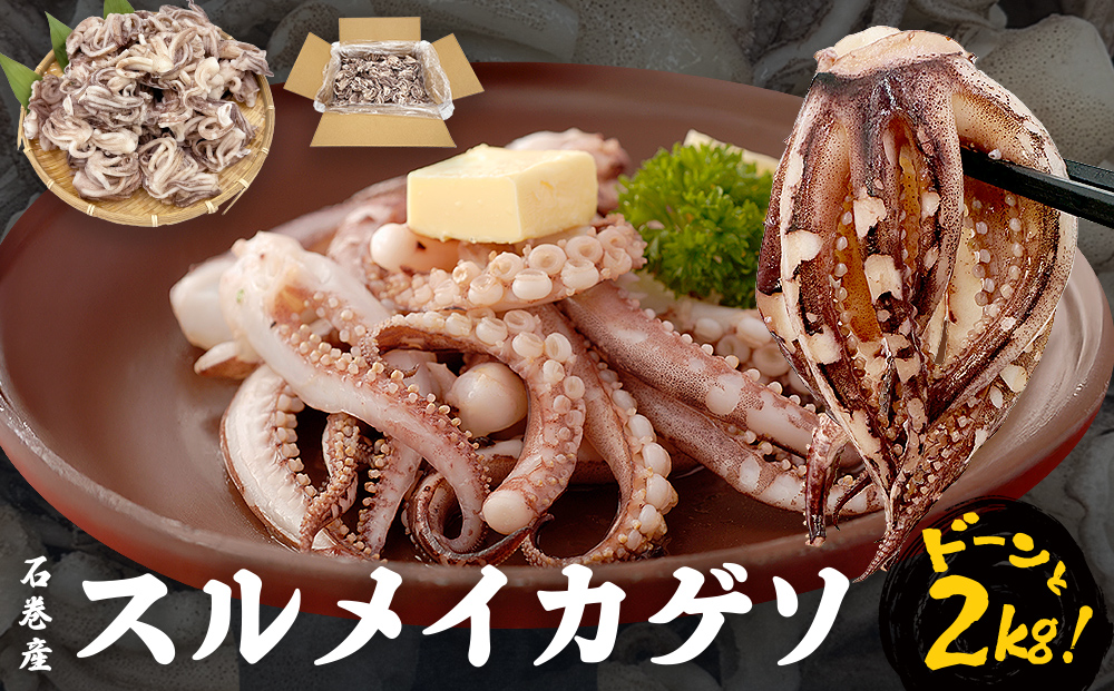 〈 訳あり 〉スルメイカ ゲソ 石巻産 (2kg)  宮城県産 冷凍 国産 下足 イカ イカゲソ 唐揚げ いかげそ おつまみ 魚介類 焼イカ バーベキュー BBQ わけあり 不揃い 烏賊 炒め物 フライ ゲソ天 唐揚げ イカゲソ2kg 宮城県 石巻市