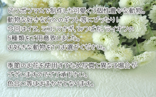 ã¢ãâãã³ïŒãããïŒ è± çè± è±æ åç© ããã 坿ã ã®ãã ãã¬ãŒã³ã