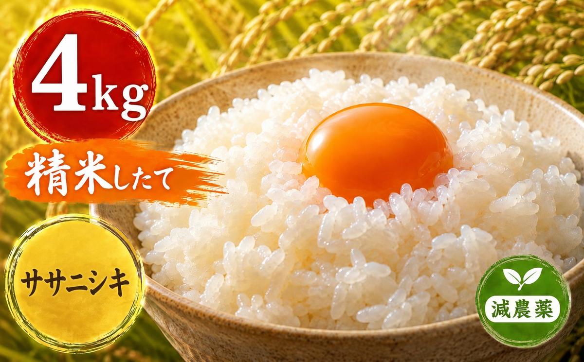 新米 令和8年産 ヨシ腐葉土米 ササニシキ 精米4kg（4kg×1袋）