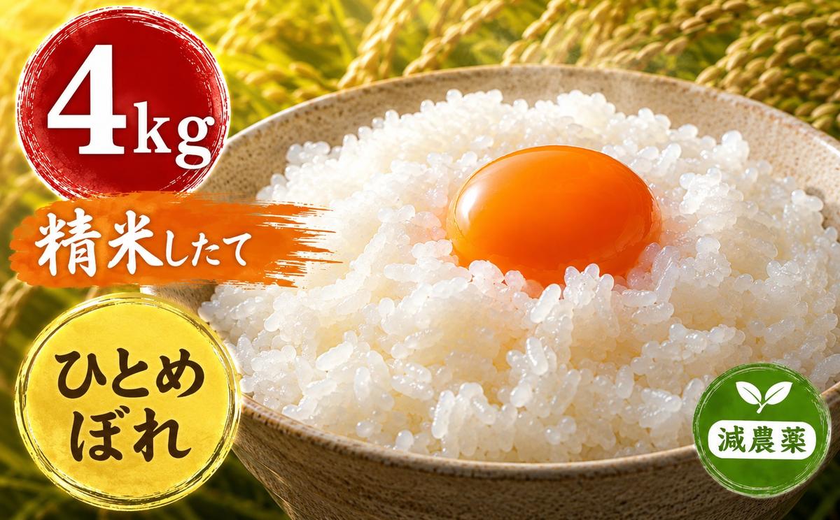 新米 令和8年産 ヨシ腐葉土米 ひとめぼれ 精米4kg（4kg×1袋）