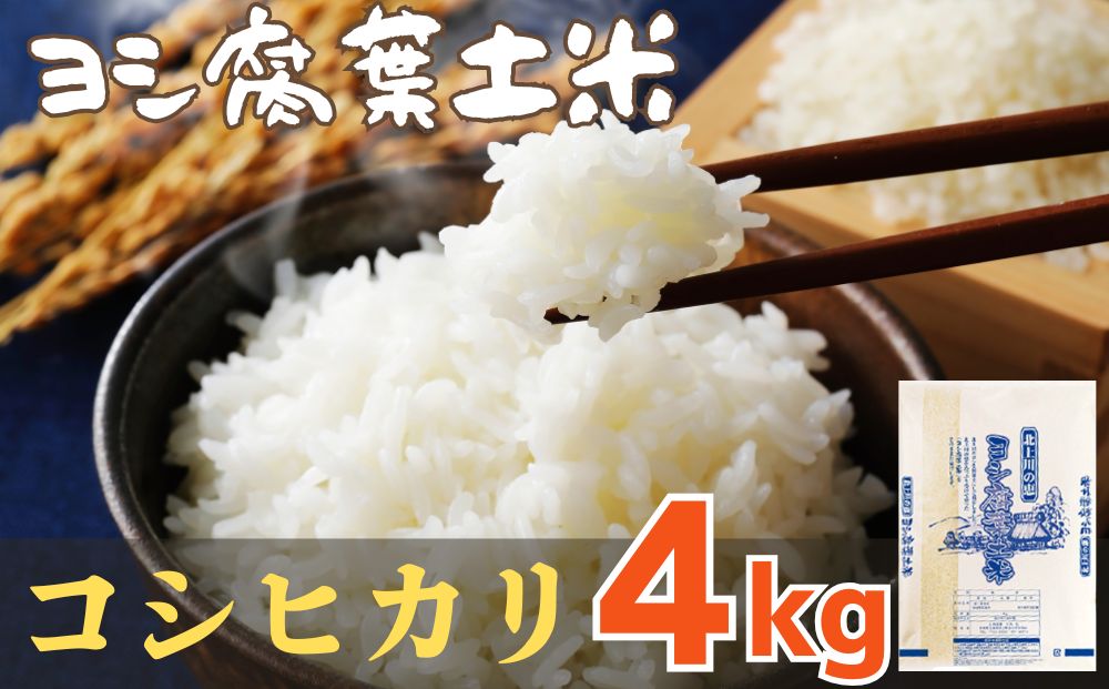 令和6年産 ヨシ腐葉土米 コシヒカリ 精米4kg（4kg×1袋）