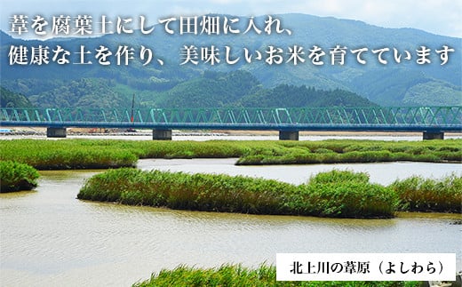 令和6年産＜定期便＞ヨシ腐葉土米 精米30kg（10kg×3回発送）コシヒカリ