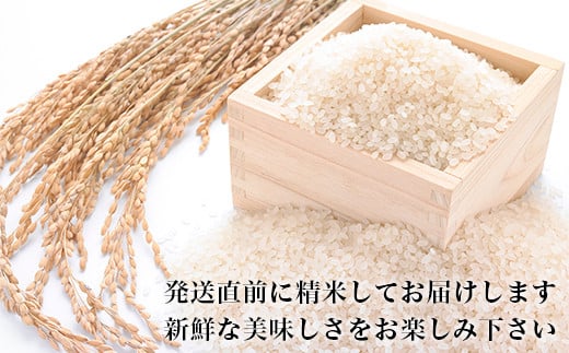 令和6年産＜定期便＞ヨシ腐葉土米 精米30kg（10kg×3回発送）コシヒカリ