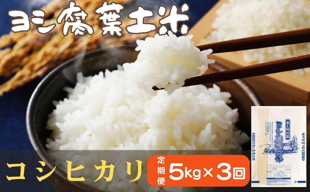 令和6年産＜定期便＞ヨシ腐葉土米 精米15kg（5kg×3回発送）コシヒカリ