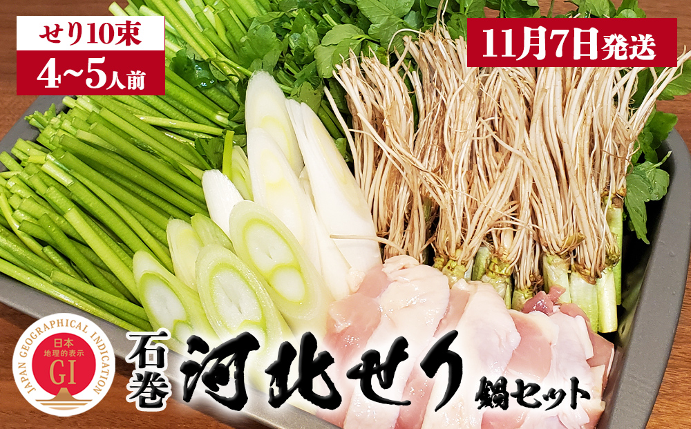 【11月7日発送】せり鍋 セット 4-5人前　せり 長ねぎ パックご飯 スープ 鶏肉 セリ セリ鍋 河北せり 野菜 鍋