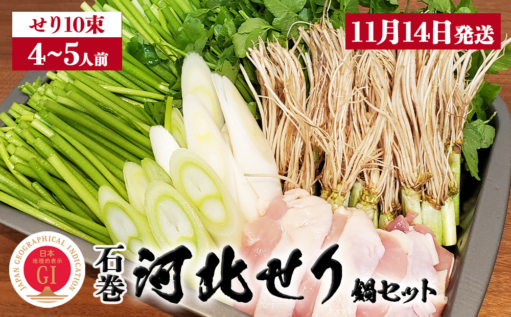 【11月14日発送】せり鍋 セット 4-5人前 せり 長ねぎ パックご飯 スープ 鶏肉 セリ セリ鍋 河北せり 野菜 鍋