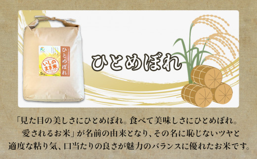 宮城県いしのまき産米「令和6年産ひとめぼれ」（精米）5kg