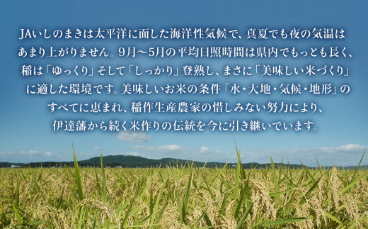 宮城県いしのまき産米「令和6年産ひとめぼれ」（精米）5kg