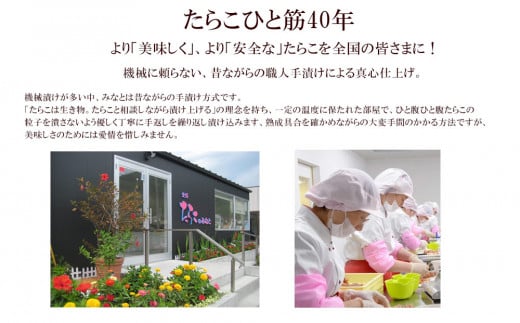 無着色たらこ80g 9個とたらこ茶漬けセット